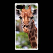 Coque Sony Xperia Z5 Compact Portrait d'une Giraffe