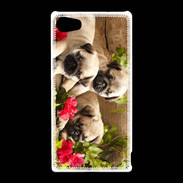 Coque Sony Xperia Z5 Compact Trio de chiots Carlin