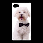 Coque Sony Xperia Z5 Compact Bichon avec noeud papillon