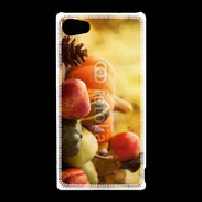 Coque Sony Xperia Z5 Compact fruits et légumes d'automne 2