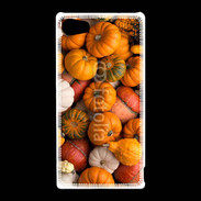 Coque Sony Xperia Z5 Compact fond de citrouilles automne
