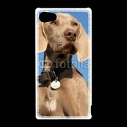 Coque Sony Xperia Z5 Compact Chien de chasse Braque