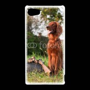 Coque Sony Xperia Z5 Compact chien de chasse 300