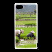 Coque Sony Xperia Z5 Compact Rizière au Vietnam