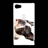 Coque Sony Xperia Z5 Compact Bulldog français 1