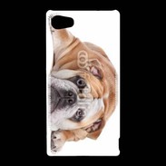 Coque Sony Xperia Z5 Compact Bulldog anglais 2