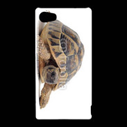 Coque Sony Xperia Z5 Compact Tortue Hermann