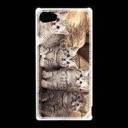 Coque Sony Xperia Z5 Compact Chaton gris 2