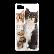 Coque Sony Xperia Z5 Compact Duo de chatons