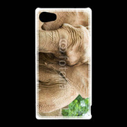 Coque Sony Xperia Z5 Compact Elephant d'Afrique