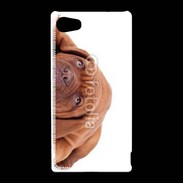 Coque Sony Xperia Z5 Compact Mastiff marron