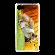 Coque Sony Xperia Z5 Compact Agility Colley