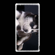 Coque Sony Xperia Z5 Compact Chiot Husky de Sibérie