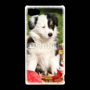 Coque Sony Xperia Z5 Compact Adorable chiot Border collie