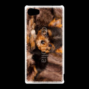 Coque Sony Xperia Z5 Compact Chiot Yorkshire 10