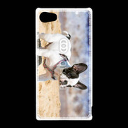 Coque Sony Xperia Z5 Compact Bulldog français nain