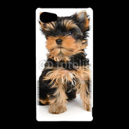 Coque Sony Xperia Z5 Compact Yorkshire terrier 15