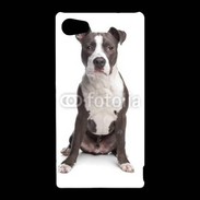 Coque Sony Xperia Z5 Compact American Staffordshire Terrier puppy