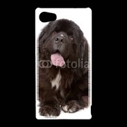 Coque Sony Xperia Z5 Compact Chiot Terre neuve 500