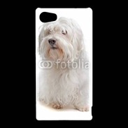 Coque Sony Xperia Z5 Compact Bichon Maltais 600