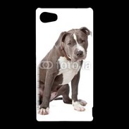 Coque Sony Xperia Z5 Compact American staffordshire bull terrier