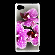 Coque Sony Xperia Z5 Compact Belle Orchidée PR