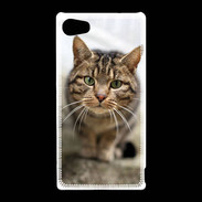 Coque Sony Xperia Z5 Compact Portrait de chat PR