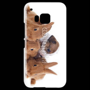 Coque HTC One M9 Gardien de lapins