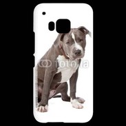 Coque HTC One M9 American staffordshire bull terrier