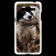 Coque Samsung Grand Prime 4G Setter rapportant une bécasse