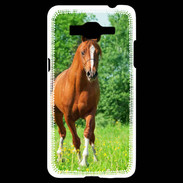 Coque Samsung Grand Prime 4G Cheval arabe robe marron et blanche