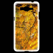 Coque Samsung Grand Prime 4G Arbres en automne