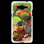 Coque Samsung Grand Prime 4G fruits et légumes d'automne