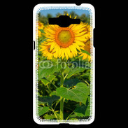 Coque Samsung Grand Prime 4G Champs de Tournesol