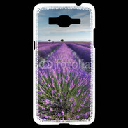 Coque Samsung Grand Prime 4G Champs de lavande 5