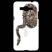 Coque Samsung Grand Prime 4G Python royal