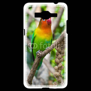 Coque Samsung Grand Prime 4G Oiseau Inséparable