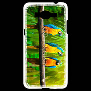 Coque Samsung Grand Prime 4G Trois perroquets bleu et jaune