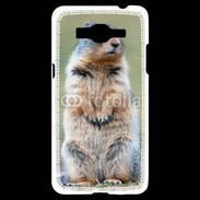 Coque Samsung Grand Prime 4G Marmotte 2
