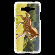 Coque Samsung Grand Prime 4G Poulain dans un champs