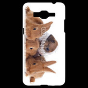 Coque Samsung Grand Prime 4G Gardien de lapins