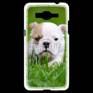 Coque Samsung Grand Prime 4G Petit Bulldog anglais