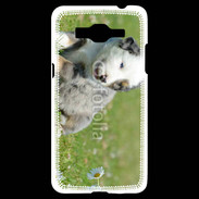 Coque Samsung Grand Prime 4G Chiot blanc et gris 1
