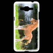Coque Samsung Grand Prime 4G Poulain marron et blanc