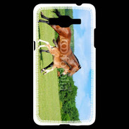 Coque Samsung Grand Prime 4G Cheval et poulain 2