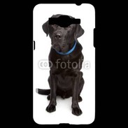 Coque Samsung Grand Prime 4G Labrador noir adulte 600