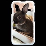Coque Samsung ACE S5830 Lapin nair noir et gris 75