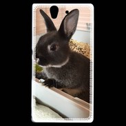 Coque Sony Xperia Z Lapin nair noir et gris 75