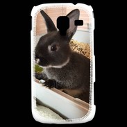 Coque Samsung Galaxy Ace 2 Lapin nair noir et gris 75