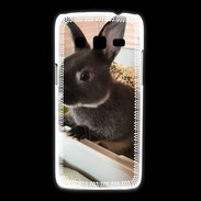 Coque Samsung Galaxy Express2 Lapin nair noir et gris 75